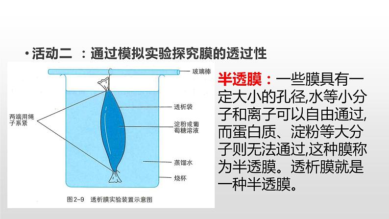 2.2 细胞膜控制细胞与周围环境的联系（1、2） 课件浙科版（2019）高中生物必修一(共40张PPT)05