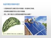 3.5 光合作用将光能转化为化学能（1）光合作用的概念及光合色素的提取与分离 课件浙科版（2019）高中生物必修一