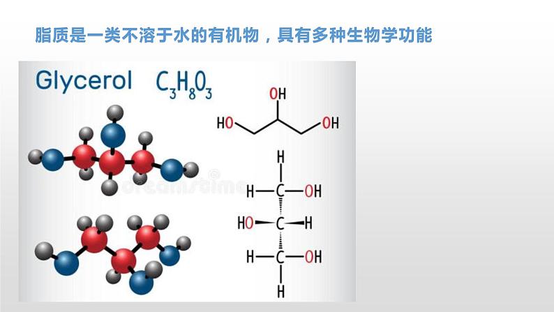 1.2 生物大分子以碳链为骨架（2、3）脂质 课件浙科版（2019）高中生物必修一(共34张PPT)07