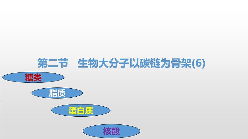 1.2 生物大分子以碳链为骨架（6、7、8）核酸及检测 课件浙科版（2019）高中生物必修一(共31张PPT)第2页