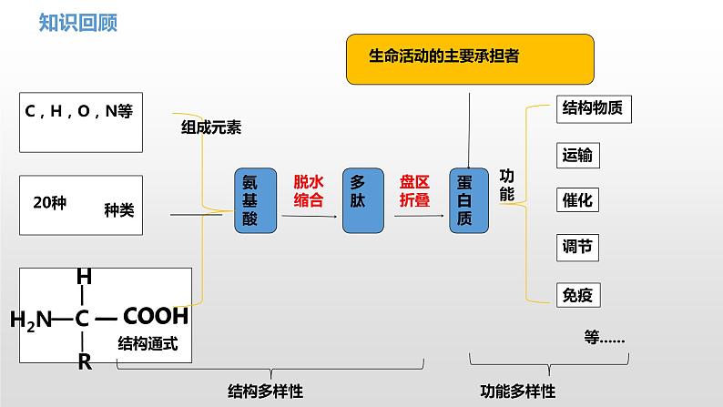 1.2 生物大分子以碳链为骨架（6、7、8）核酸及检测 课件浙科版（2019）高中生物必修一(共31张PPT)第3页