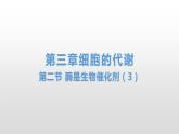 3.2 酶是生物催化剂（3） 课件浙科版（2019）高中生物必修一