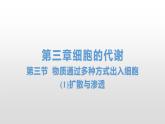 3.3 物质通过多种方式出入细胞(1)扩散与渗透 课件浙科版（2019）高中生物必修一