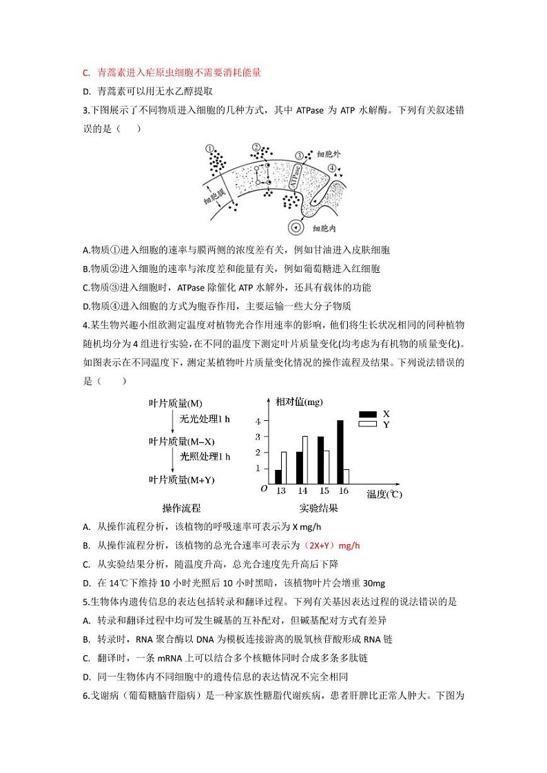 2022届湖北省部分重点中学高三上学期新起点联考生物试题  PDF版02
