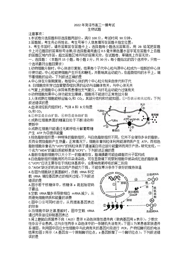 山东省菏泽市2022届高三一模生物试题含答案01