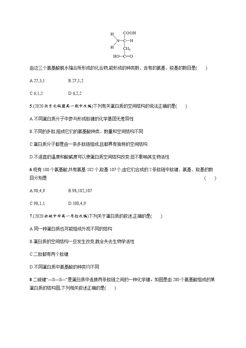 1.2 第2课时　蛋白质的结构及功能-练习浙科版（2019）高中生物必修一02