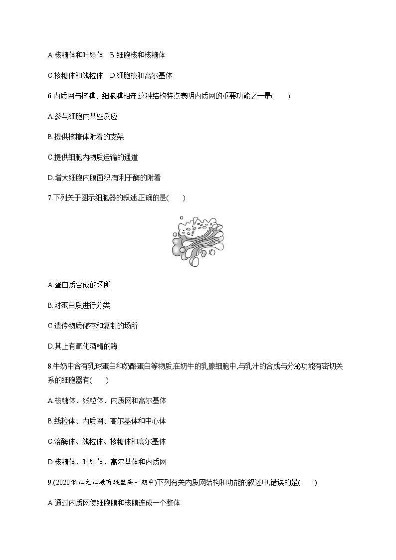 2.3 第1课时　核糖体、内质网、高尔基体及线粒体的结构与功能-练习浙科版（2019）高中生物必修一02