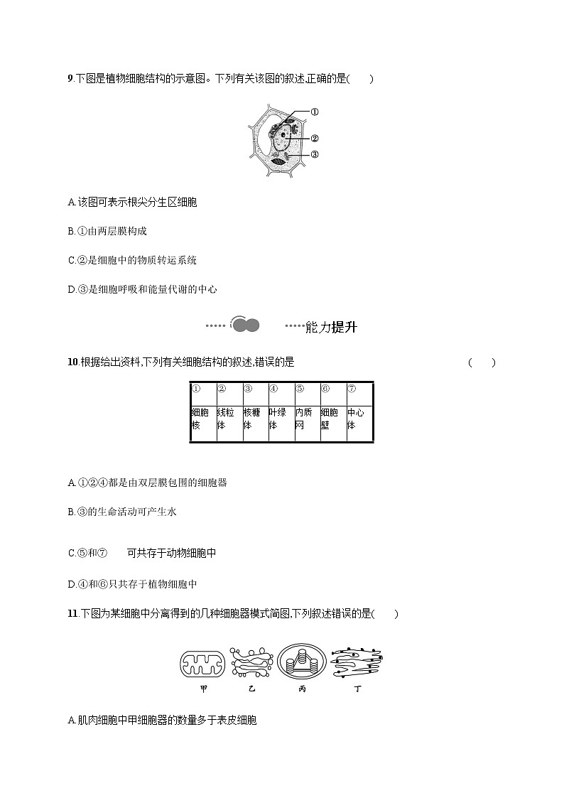 2.3 第2课时　其他细胞器、细胞溶胶及细胞骨架的功能-练习浙科版（2019）高中生物必修一03