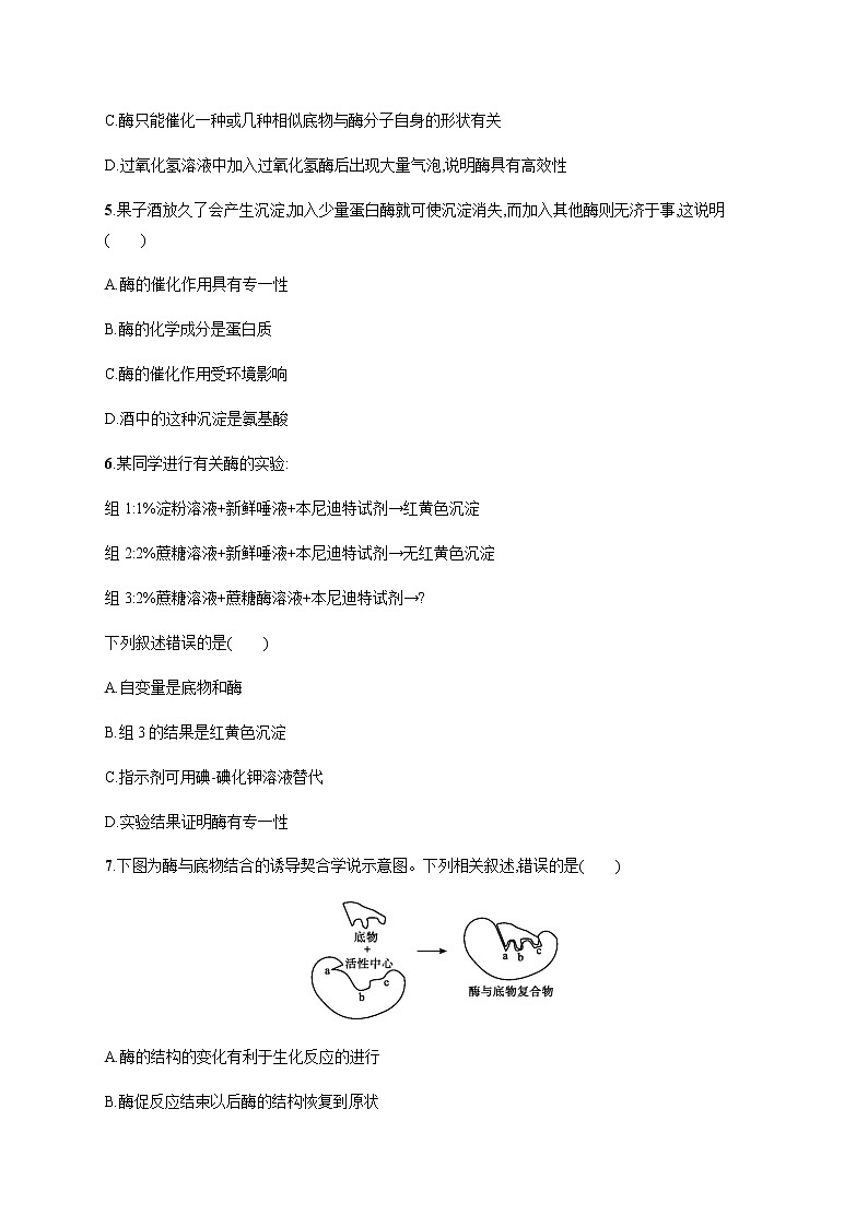 3.2 第1课时　酶的本质及酶的特性-练习浙科版（2019）高中生物必修一第2页