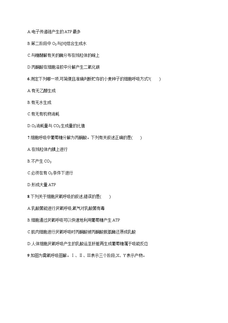 3.4 第1课时　需氧呼吸与厌氧呼吸的过程-练习浙科版（2019）高中生物必修一第2页