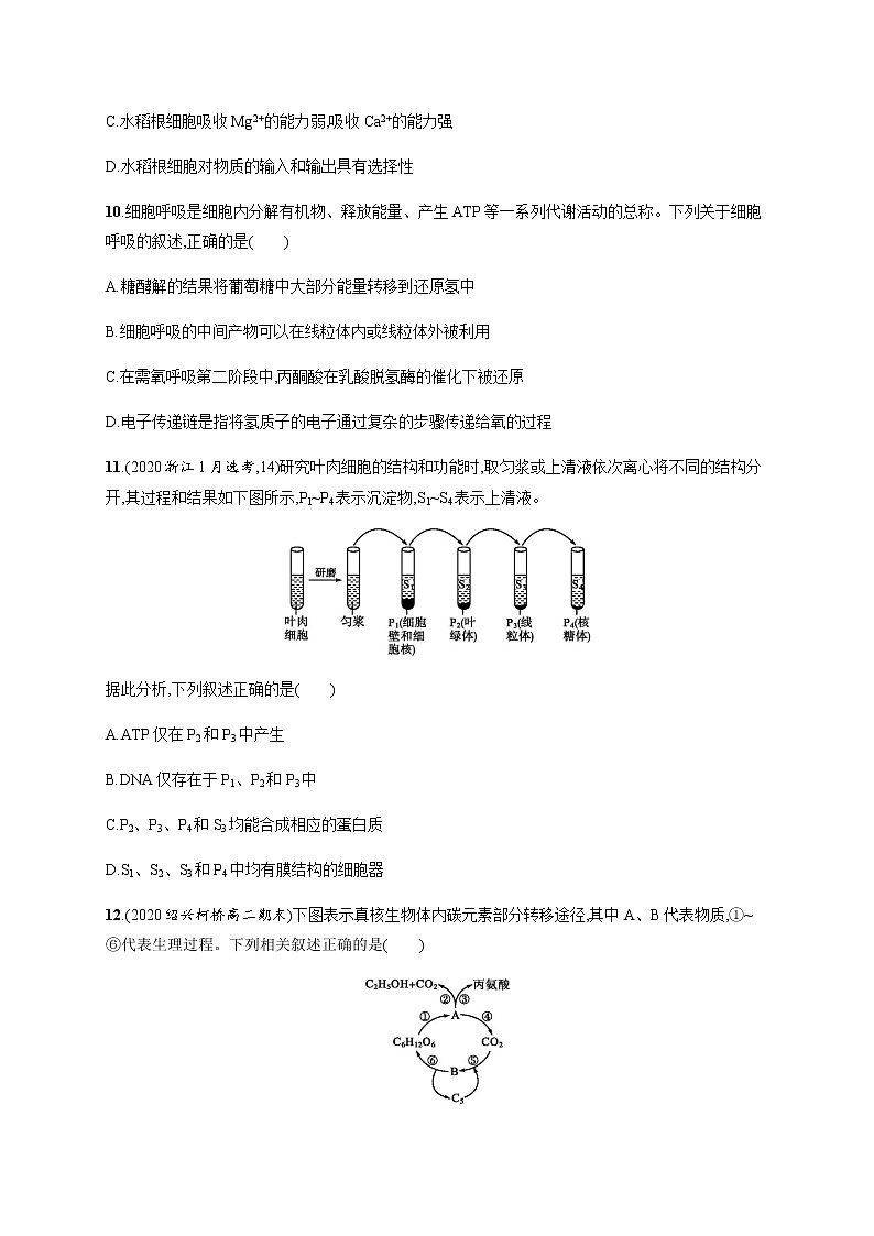 第三章测评-练习浙科版（2019）高中生物必修一03