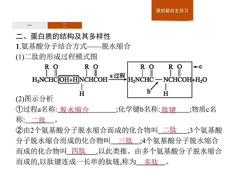 1.2 第2课时　蛋白质的结构及功能-课件浙科版（2019）高中生物必修一08