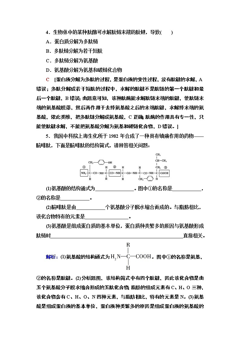3 蛋白质与核酸 课时作业 2020-2021学年浙科版（2019）高中生物必修一 练习02