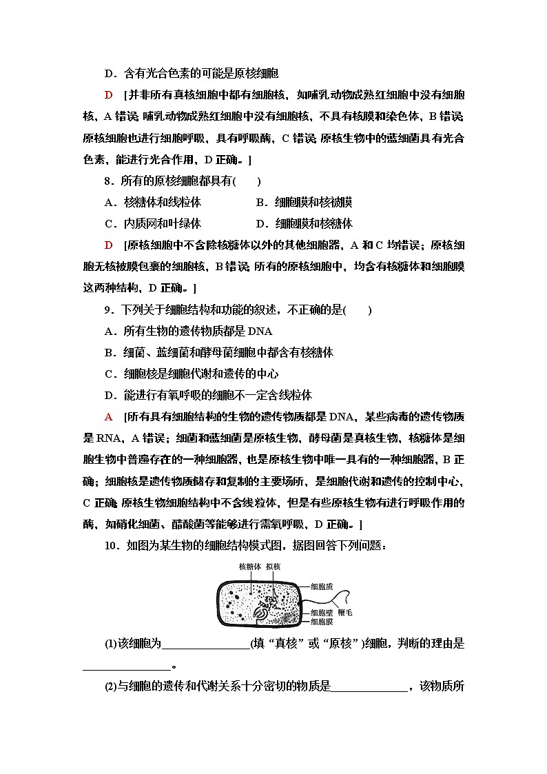 9 原核细胞内无成形的细胞核 课时作业 2020-2021学年浙科版（2019）高中生物必修一 练习03