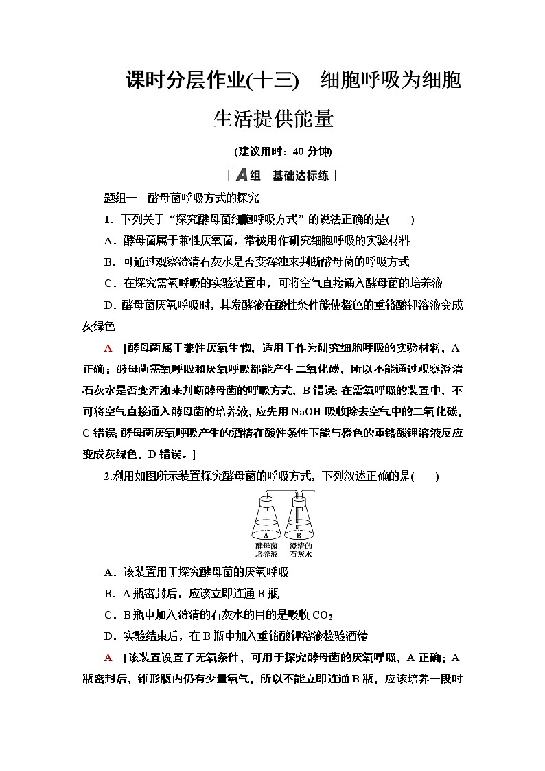13 细胞呼吸为细胞生活提供能量 课时作业 2020-2021学年浙科版（2019）高中生物必修一 练习01