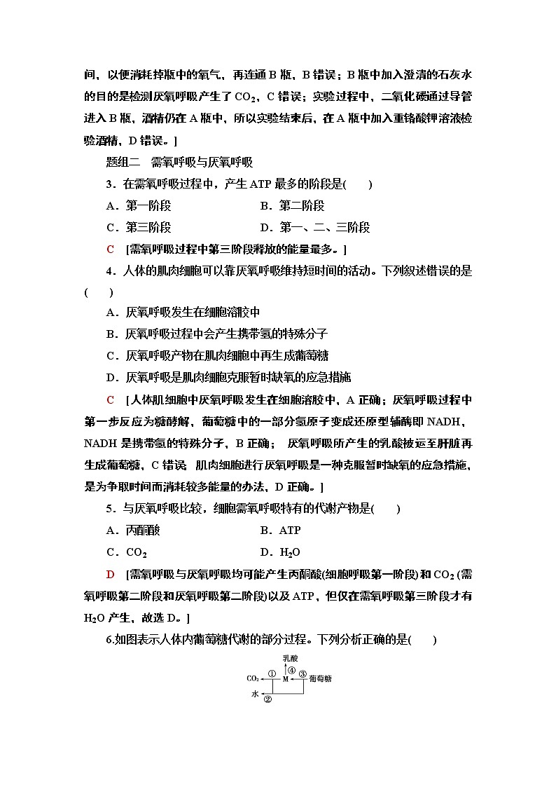 13 细胞呼吸为细胞生活提供能量 课时作业 2020-2021学年浙科版（2019）高中生物必修一 练习02