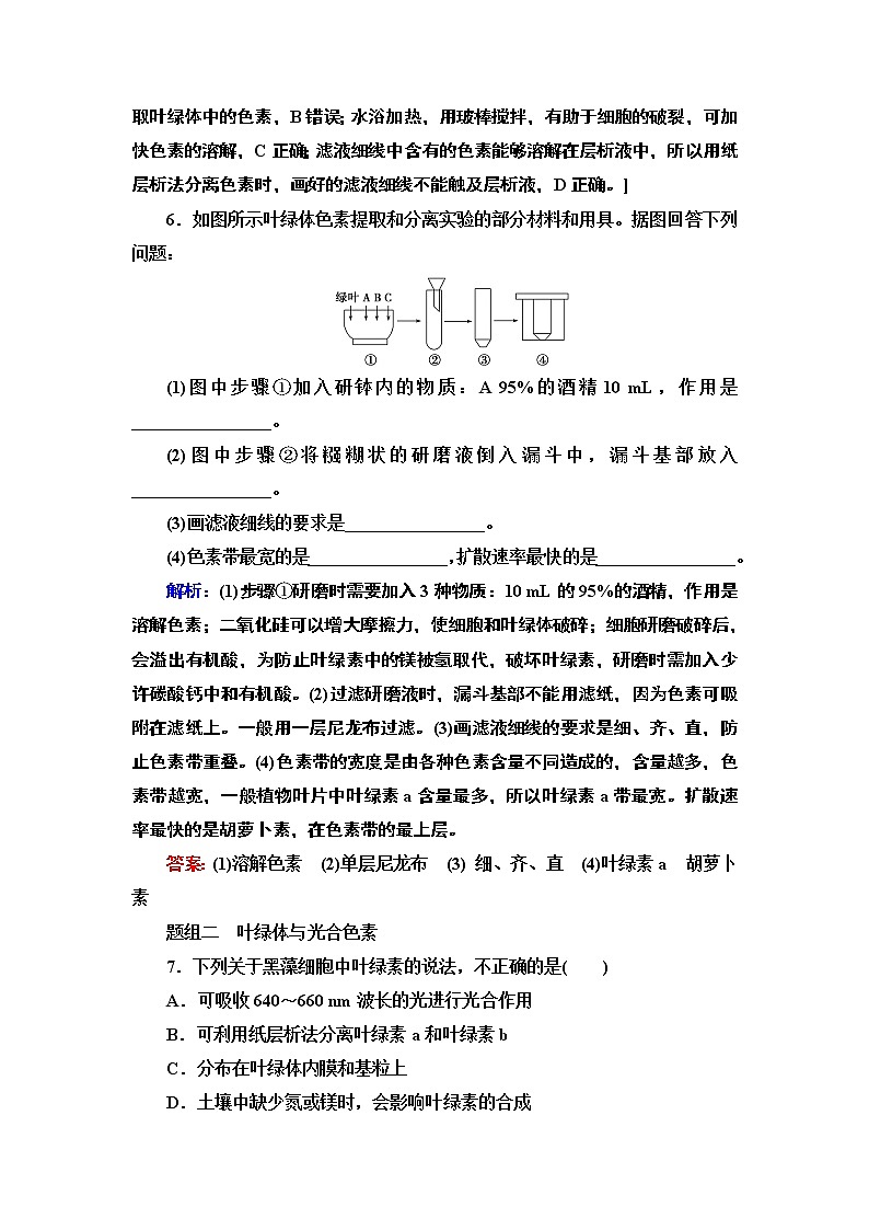 14 叶绿体与光合色素 课时作业 2020-2021学年浙科版（2019）高中生物必修一 练习03