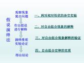 1.2 自由组合定律 课件2020-2021学年浙科版（2019）高一生物必修二