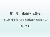 2.3 性染色体上基因的传和性别相关联 课件2020-2021学年浙科版（2019）高一生物必修二