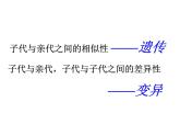 1.1 分离定律 课件2020-2021学年浙科版（2019）高一生物必修二