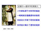 1.1 分离定律 课件2020-2021学年浙科版（2019）高一生物必修二