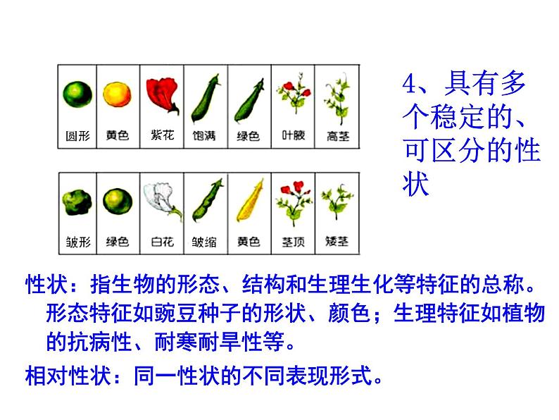 1.1 分离定律 课件2020-2021学年浙科版（2019）高一生物必修二第8页