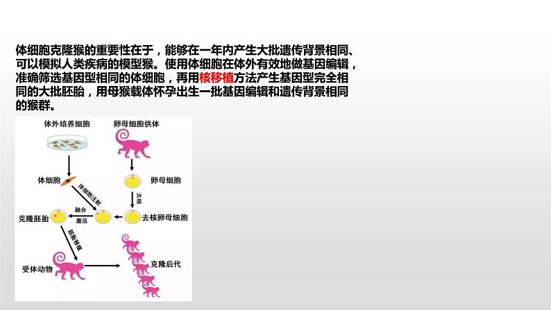 2.4 细胞核是生命活动的控制中心 课件浙科版（2019）高中生物必修一(共34张PPT)03