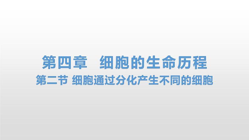 4.2 细胞通过分化产生不同的细胞 课件浙科版（2019）高中生物必修一01