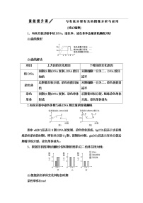 高中生物浙科版 (2019)必修1《分子与细胞》第四章 细胞的生命历程第一节 细胞通过分裂增殖教案