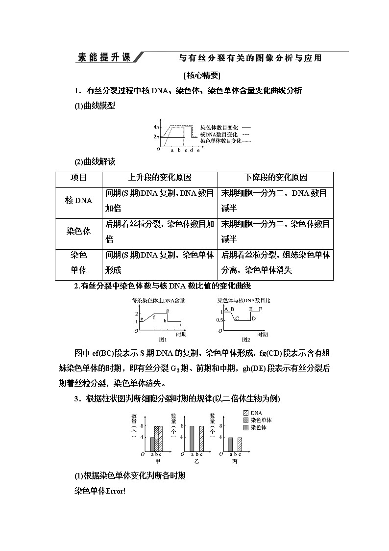 第4章　素能提升课 与有丝分裂有关的图像分析与应用 讲义 2020-2021学年浙科版（2019）高中生物必修一教案01