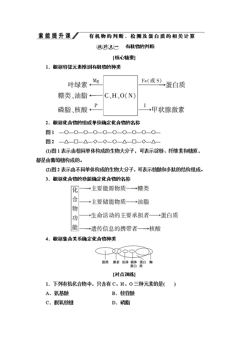 第1章　素能提升课 有机物的判断、检测及蛋白质的相关计算 讲义 2020-2021学年浙科版（2019）高中生物必修一教案01