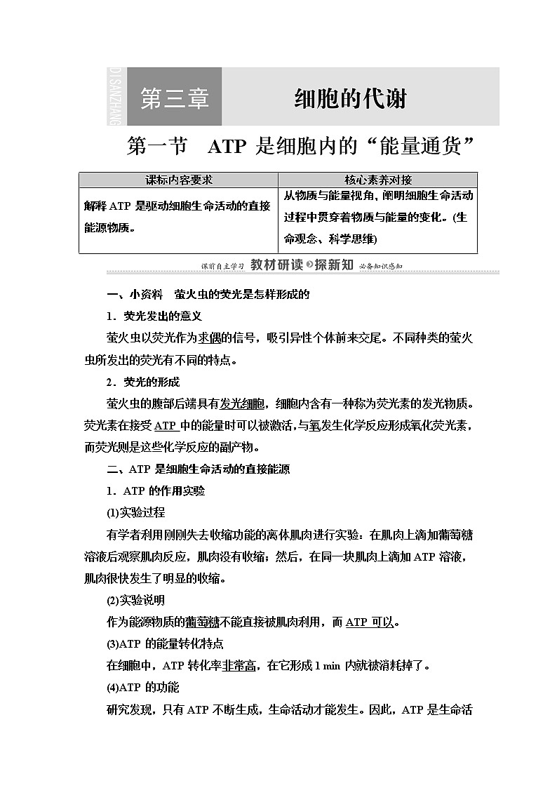 第3章　第1节　ATP是细胞内的“能量通货” 讲义 2020-2021学年浙科版（2019）高中生物必修一教案01
