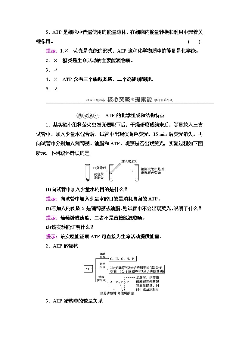 第3章　第1节　ATP是细胞内的“能量通货” 讲义 2020-2021学年浙科版（2019）高中生物必修一教案03