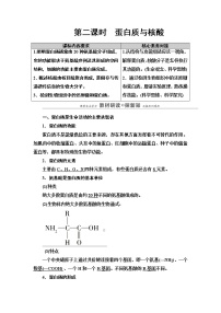 高中生物浙科版 (2019)必修1《分子与细胞》第二节 生物大分子以碳链为骨架第2课时教学设计及反思