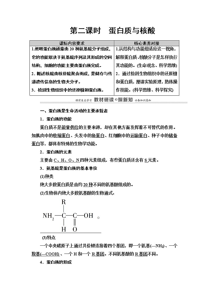 第1章　第2节　第2课时　蛋白质与核酸 讲义 2020-2021学年浙科版（2019）高中生物必修一教案01