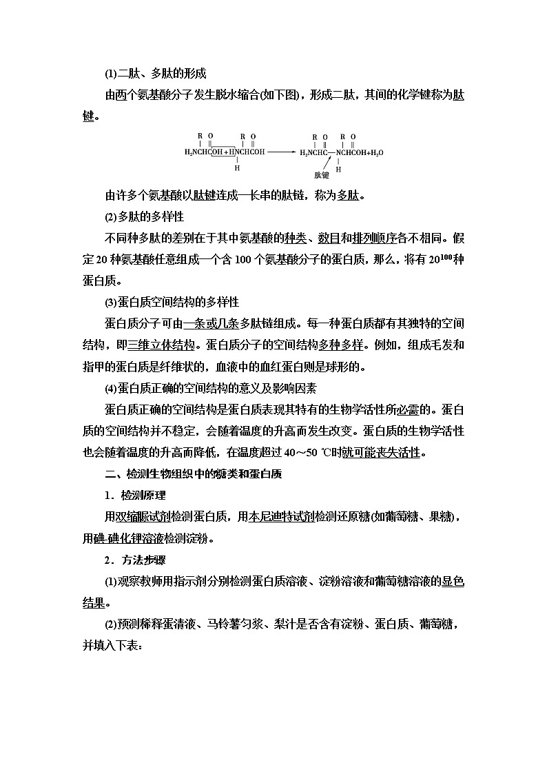 第1章　第2节　第2课时　蛋白质与核酸 讲义 2020-2021学年浙科版（2019）高中生物必修一教案02