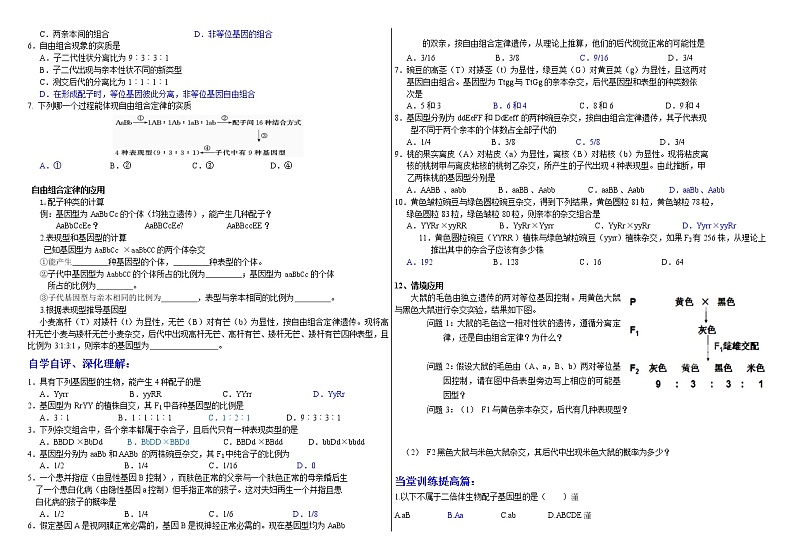 1.2 遗传的基本规律（自由组合定律） 学案 2020-2021学年浙科版（2019）高一生物必修二02