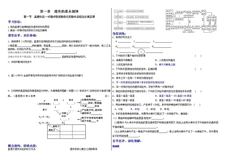 1.1 遗传的基本规律（分离定律） 学案 2020-2021学年浙科版（2019）高一生物必修二第1页