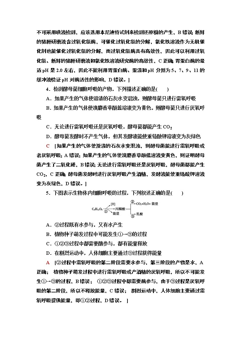 阶段综合测评 2 (第三章) 课时作业 2020-2021学年浙科版（2019）高中生物必修一第2页