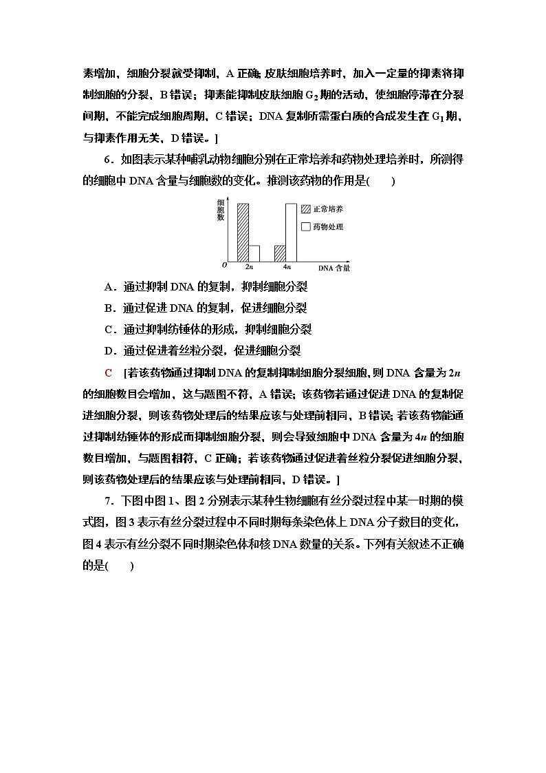 重点突破练 6 细胞增殖加强练 课时作业 2020-2021学年浙科版（2019）高中生物必修一第3页