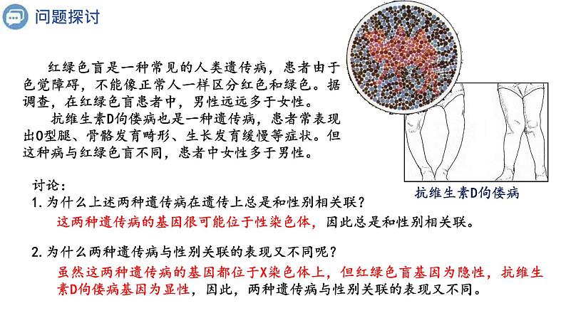 2.3伴性遗传课件2021-2022学年高一下学期生物人教版必修2第4页