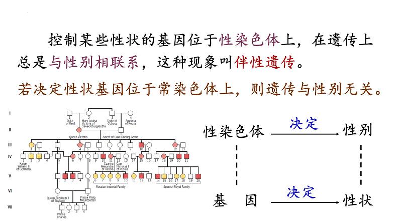 2.3伴性遗传课件2021-2022学年高一下学期生物人教版必修2第5页