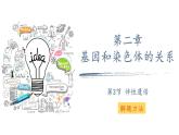 2.3伴性遗传的解题方法课件2021-2022学年高一下学期生物人教版必修2