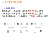 2.3伴性遗传的解题方法课件2021-2022学年高一下学期生物人教版必修2