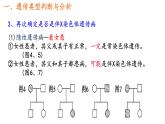 2.3伴性遗传的解题方法课件2021-2022学年高一下学期生物人教版必修2