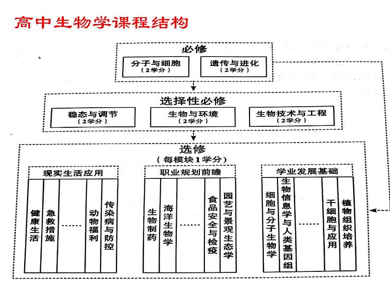 1.1 细胞是生命活动的基本单位 课件【新教材】人教版（2019）高中生物必修一 (共21张PPT)01