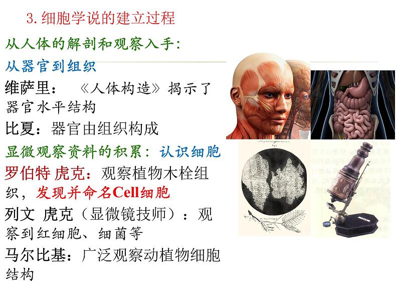 1.1 细胞是生命活动的基本单位 课件【新教材】人教版（2019）高中生物必修一 (共21张PPT)05