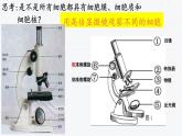 1.2 细胞的多样性和统一性 课件【新教材】人教版（2019）高中生物必修一 (共21张PPT)