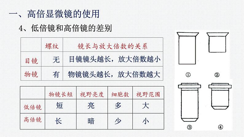 1.2 细胞的多样性和统一性 课件【新教材】人教版（2019）高中生物必修一 (共21张PPT)07