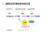 2.5 核酸是遗传信息的携带者 课件【新教材】人教版（2019）高中生物必修一(共19张PPT)